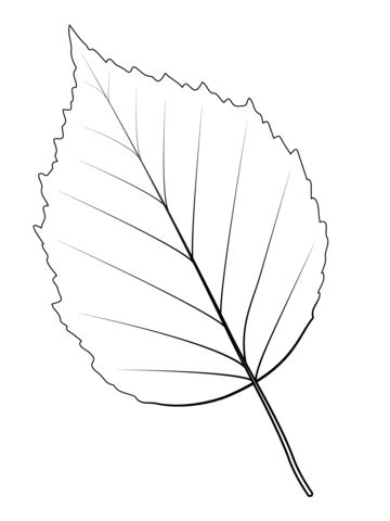 Paper Birch Leaf Coloring Page